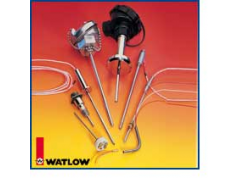 Watlow®  ENVIROSEAL RTD Sensors  热敏电阻温度探头
