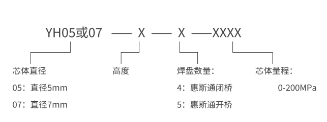 传感专家