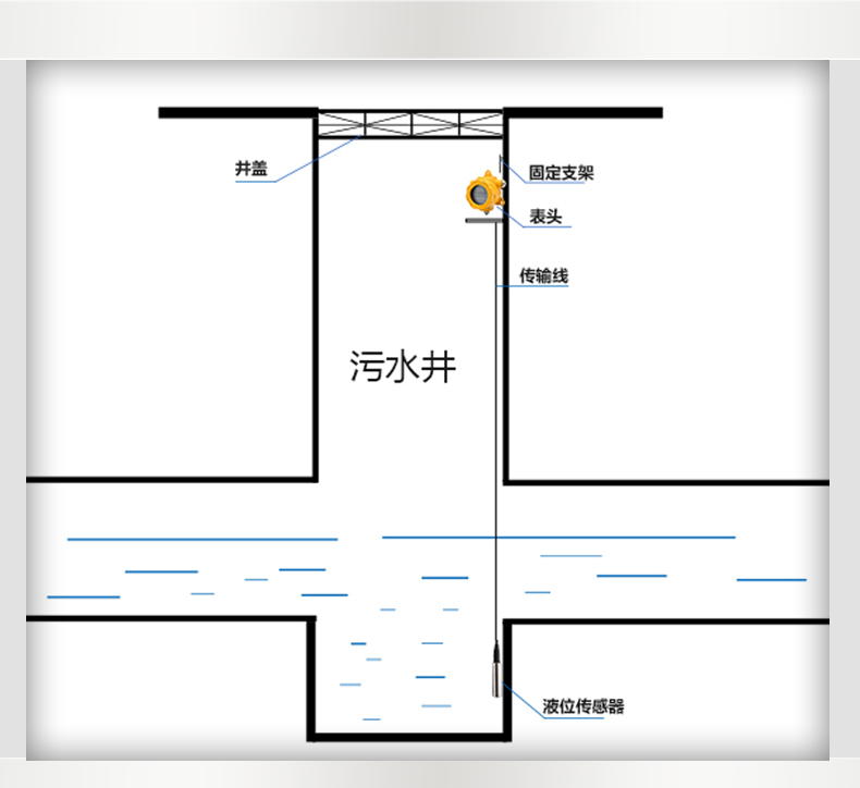 传感专家