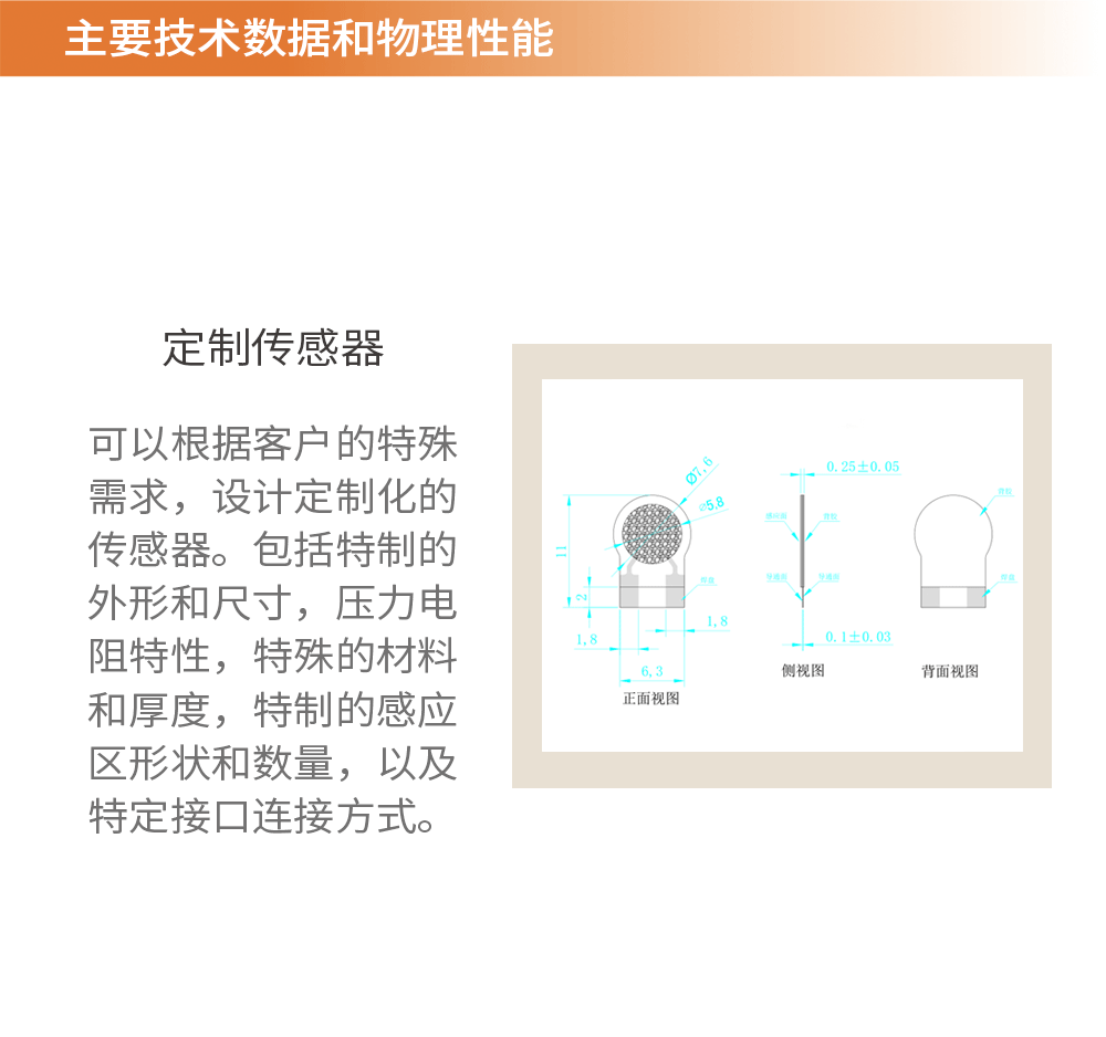 传感专家