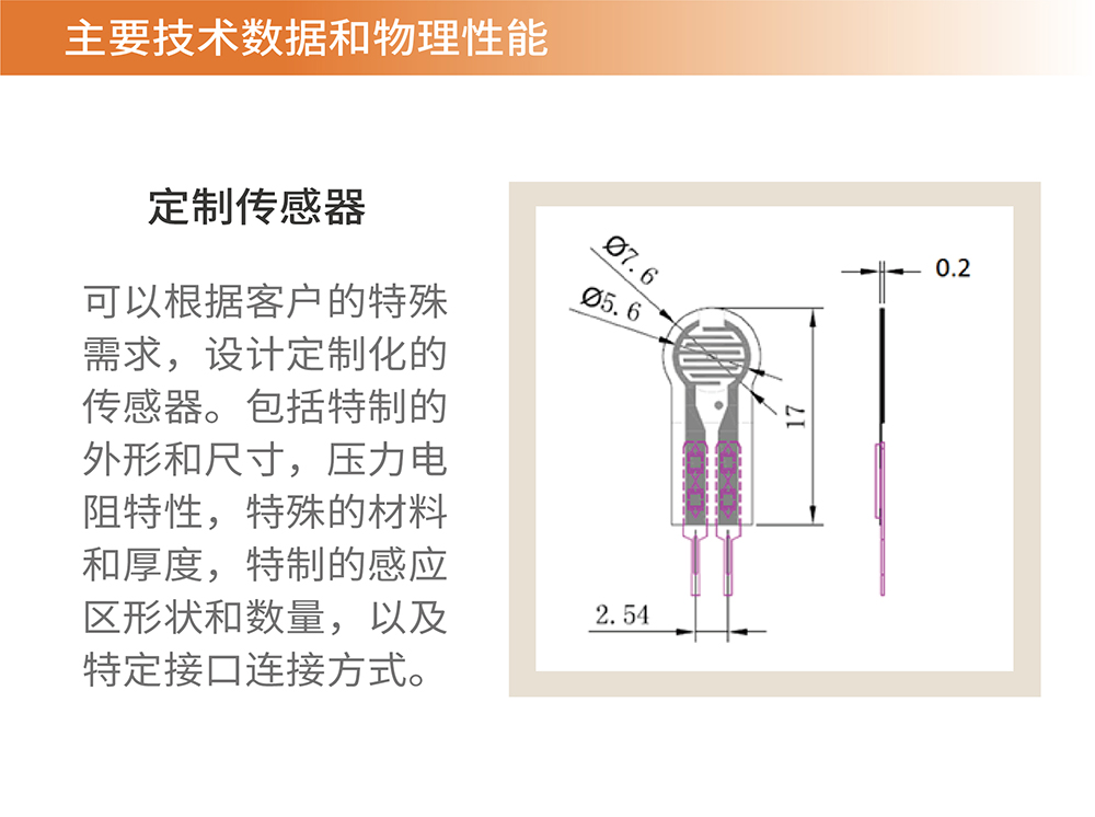 传感专家