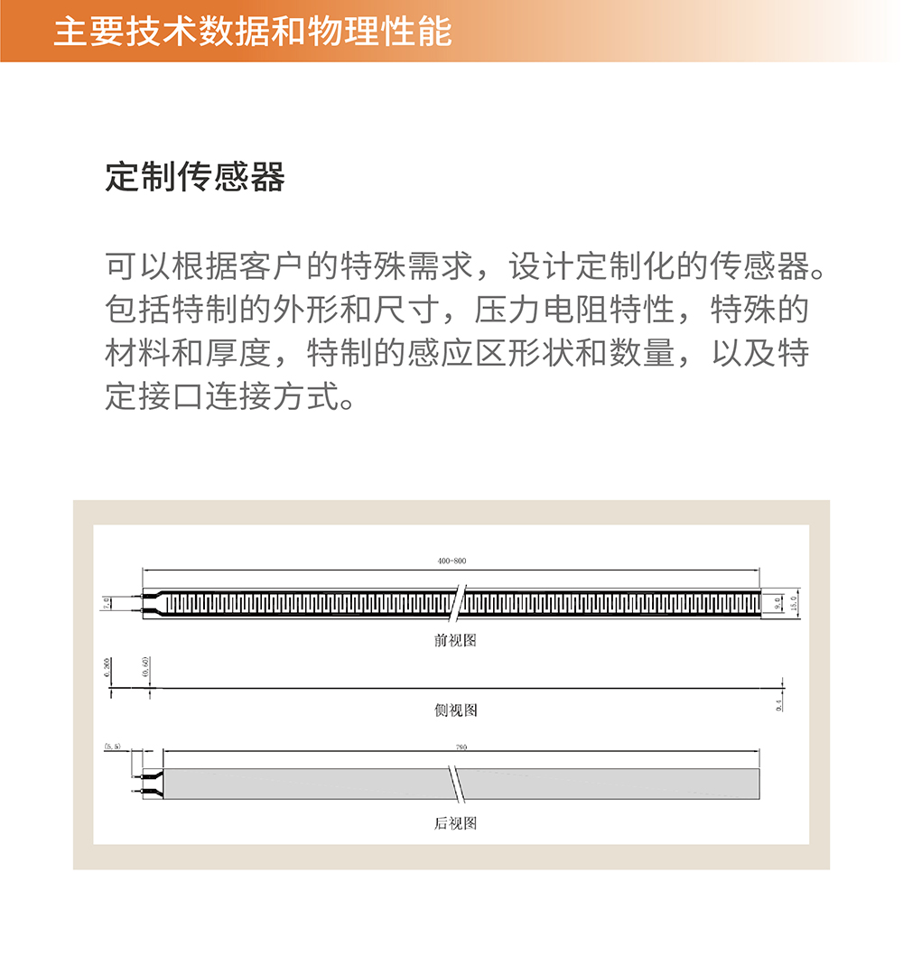 传感专家