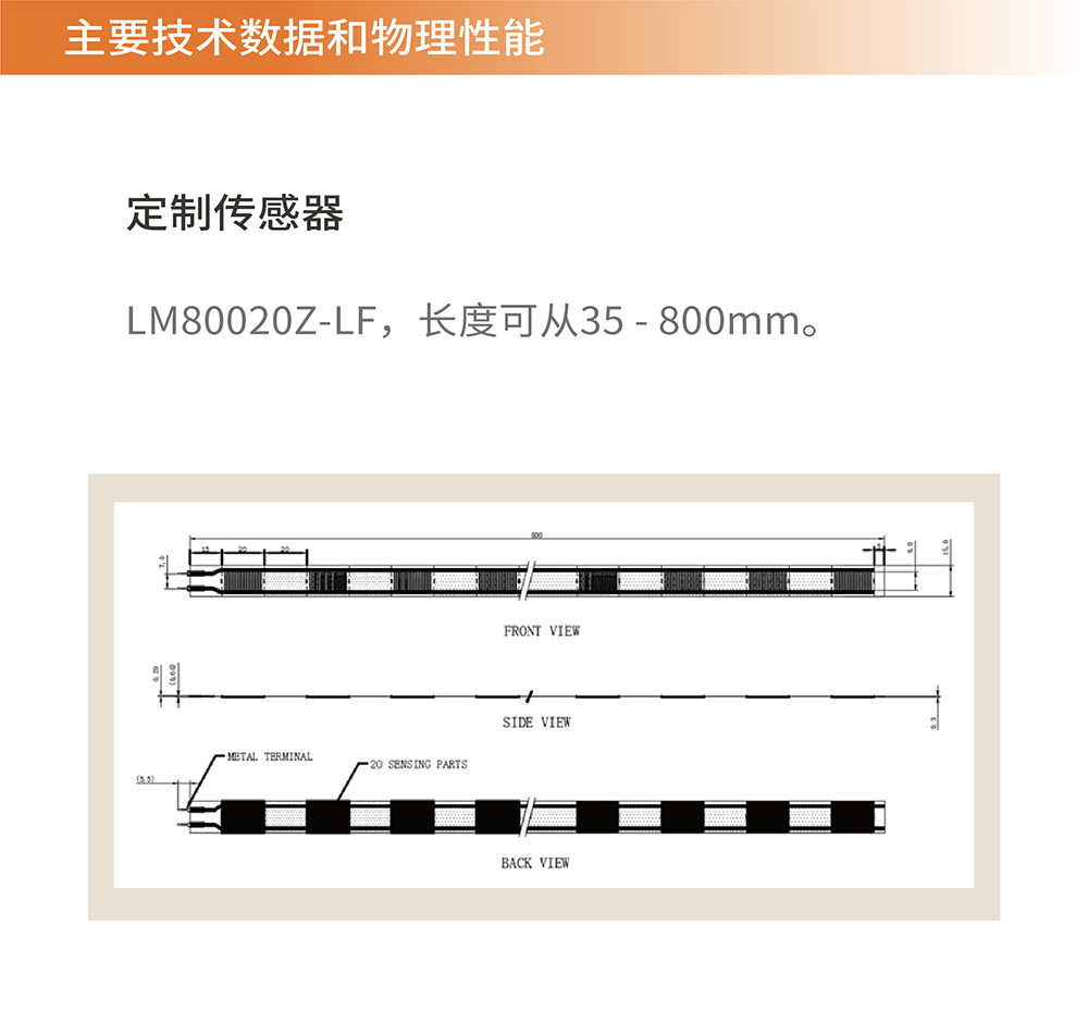 传感专家
