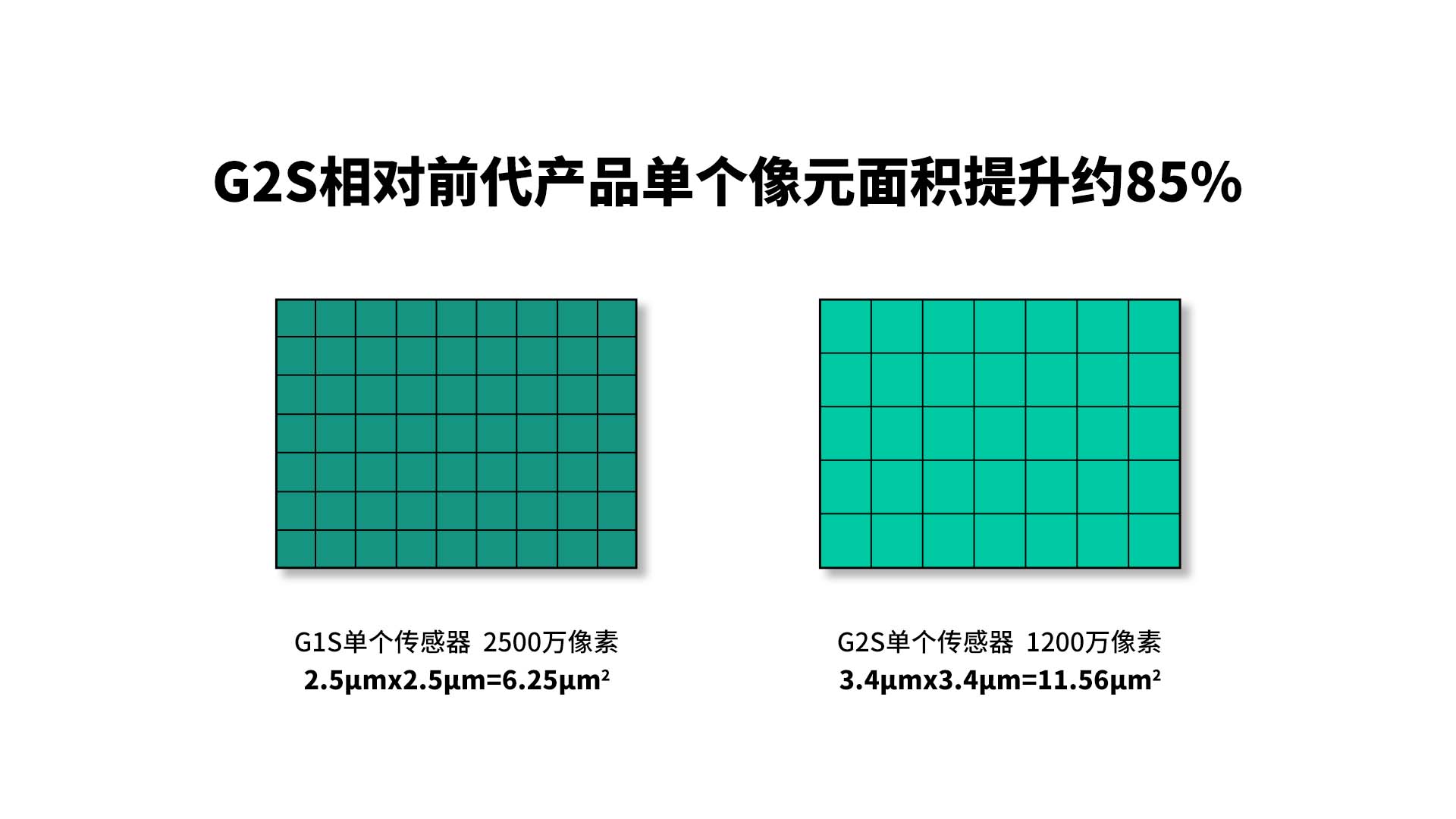 传感专家