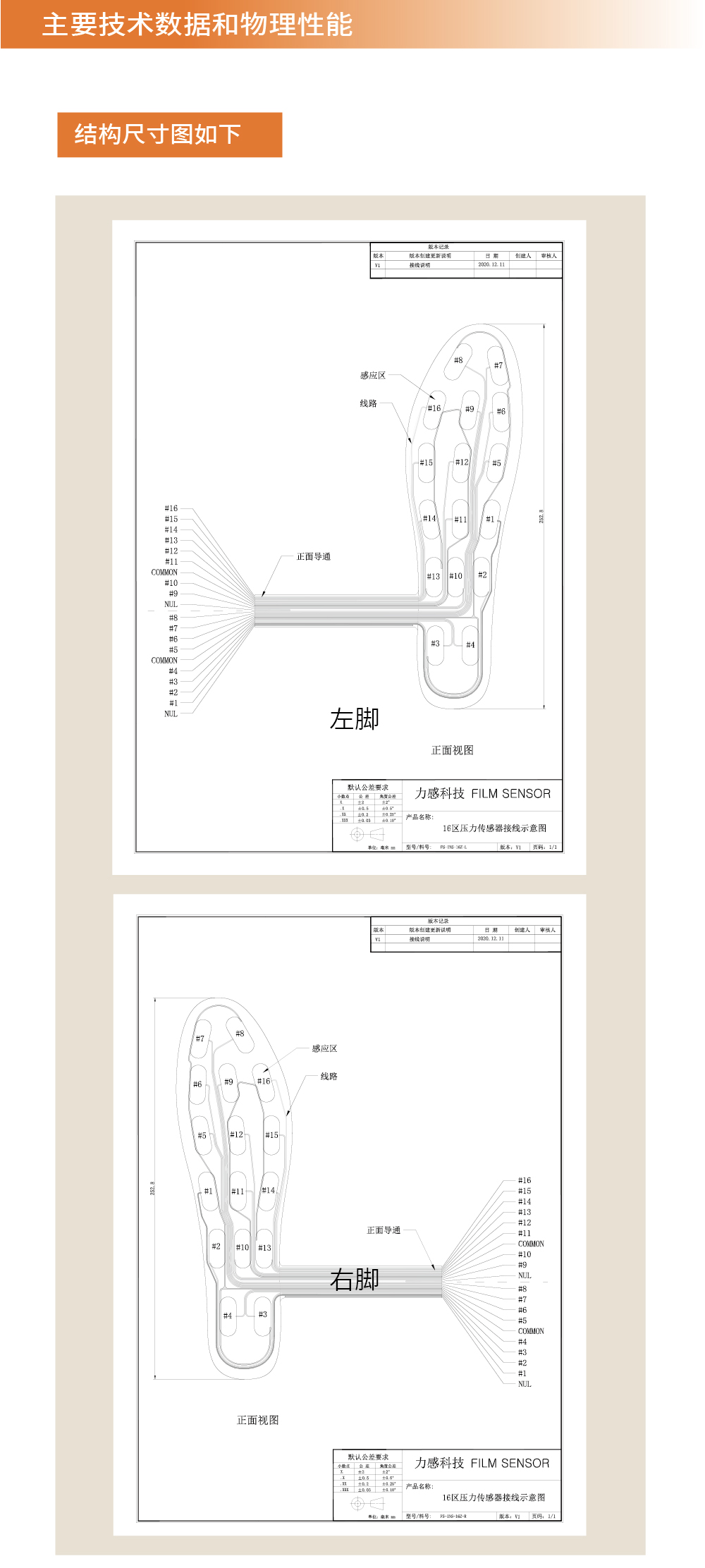 传感专家