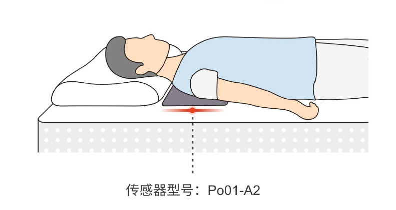 传感专家