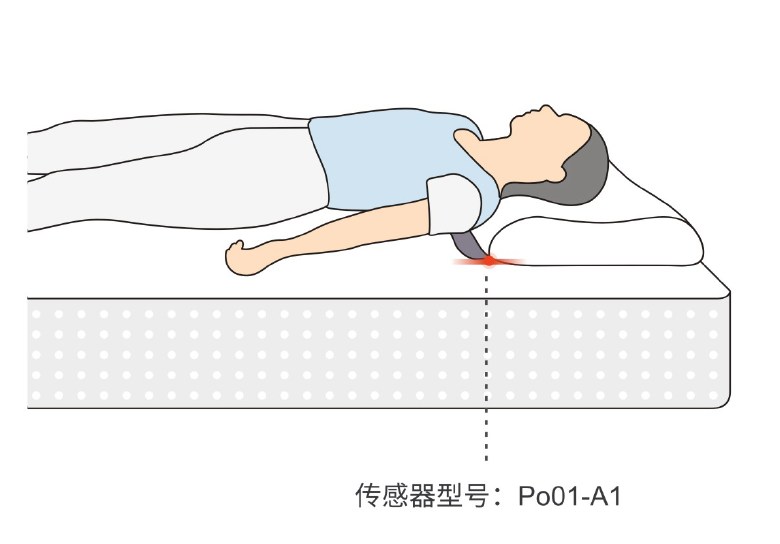 传感专家