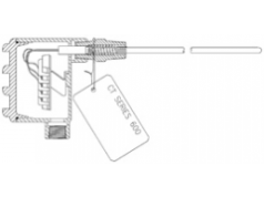 Conax 康纳斯  CT 600  温度传感器