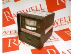 Radwell International 拉德韦尔  2000-T-D-13  温度控制器