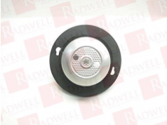 Radwell International 拉德韦尔  CF-200-MP  热探测器