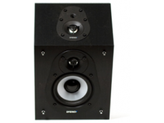 Audio Products International Corp.  CR-10 Surround Speaker  扬声器