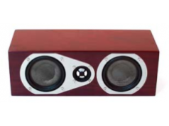 Audio Products International Corp.  V-Mini-C Center Speaker  扬声器