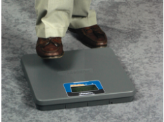 Fairbanks Scales, Inc.  Health Scales  秤和天平