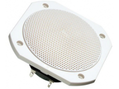 Visaton  FRS 10 WP - 4 OHM (WHITE)  扬声器