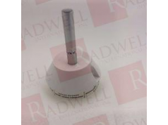 Radwell International 拉德韦尔  DT-200CS  火焰探测器