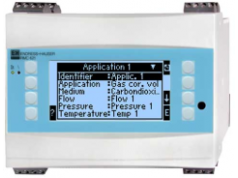 Endress+Hauser ( E+H ) 恩德斯豪斯  RMC621  流量计算机，累加器和指示器