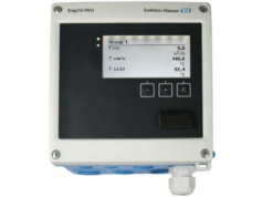 Endress+Hauser ( E+H ) 恩德斯豪斯  EngyCal® Steam Calculator RS33  流量计算机，累加器和指示器