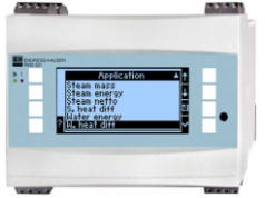 Endress+Hauser ( E+H ) 恩德斯豪斯  RMS621  流量计算机，累加器和指示器