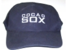 Advance Security Products  Baseball Cap Camera  摄像机