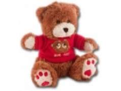 Advance Security Products  Teddy Bear Hard Wired Camera  摄像机