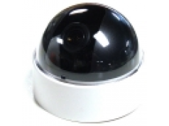 Advance Security Products  Indoor Varifocal Color Dome  摄像机