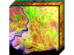 Teledyne DALSA 特利丹  Hyperspectral Image Sensor  CMOS图像传感器