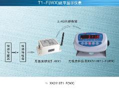 Keli 柯力传感  XK3118T1-F(WX)  模拟仪表