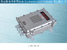 Keli 柯力传感  Ex-D11-C  数字仪表