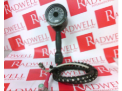 Radwell International 拉德韦尔  58116199002  流量计