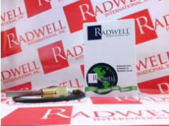 Radwell International 拉德韦尔  119151-00  流量计