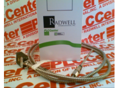 Radwell International 拉德韦尔  P012-35305-055-2-00  热电偶温度探头