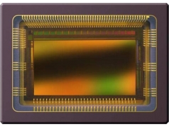 Osram Opto Semiconductor 欧司朗  CMV2000-3E12M1CA  图像传感器