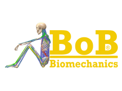 BOB  BOB人体生物力学分析软件  MEMS-仿真软件