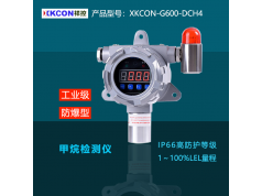 XKCON 祥控  XKCON-G600-DCH4  气体变送器