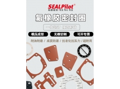 SEALPilot 柏德密封  氟橡胶密封垫异形橡胶定做耐腐蚀橡胶板  密封产品