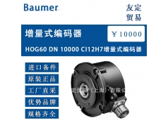 友定贸易（上海）  HOG60 DN 10000 CI12H7  备件