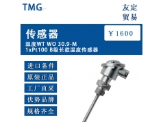 友定贸易（上海）  WT WO 30.9-M 1xPt100  备件