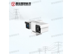 DINSEE 鼎信智慧科技  DX-DLS100-CWH1  红外测温系统