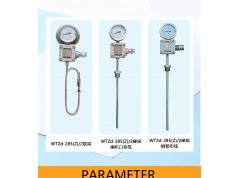 张衡牌  南阳华业WTZd-285(Z)/2双支防震防爆测温仪表pt100  指针式测温仪