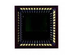 ON Semiconductor 安森美  CYIL1SM0300AA-QWC  CMOS图像传感器