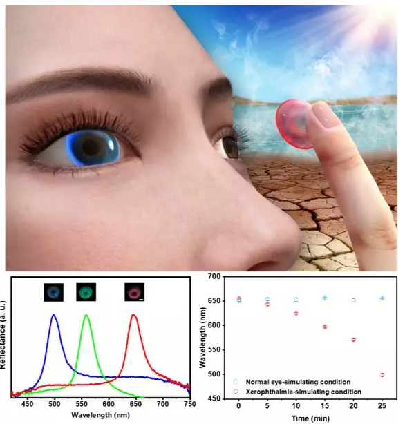 新型结构色隐形眼镜传感器可用于眼疾示警